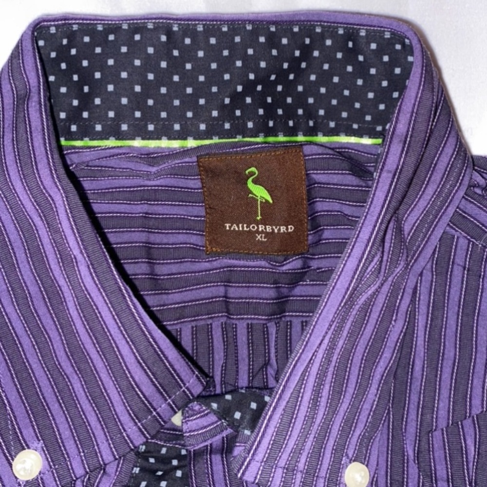 Tailorbyrd Striped Button Down - image 8